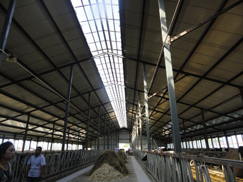 mg冰球突破(中国区)官方网站