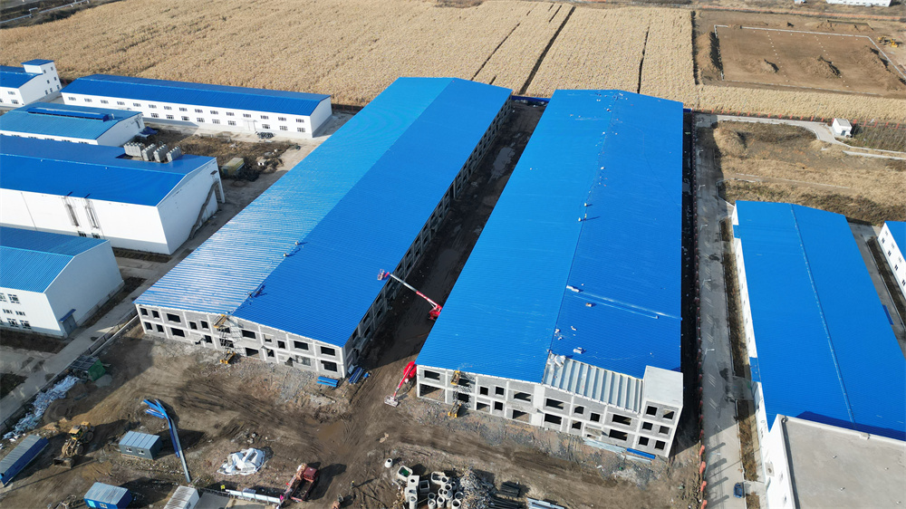 mg冰球突破(中国区)官方网站